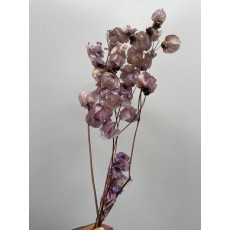 Preserved Bougainvillea 45CM - Lavender