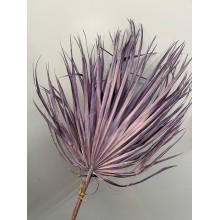 Dried Chamaerops Metallic Lilac