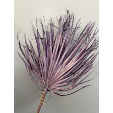 Dried Chamaerops Metallic Lilac