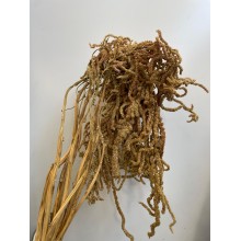 Dried Amaranthus Hanging Biscuit