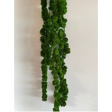Preserved Amaranthus Ball Green