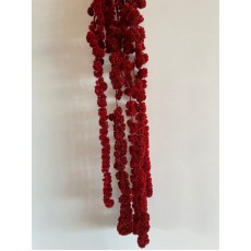 Preserved Amaranthus Ball Red 