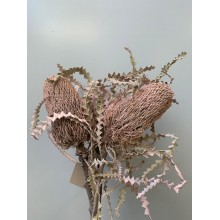 Dried Banksia Dyed - Light Pink