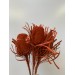 Dried Banksia Dyed - Orange 