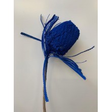 Dried Banksia Dyed - Royal Blue 
