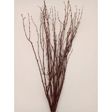 Birch - Natural 