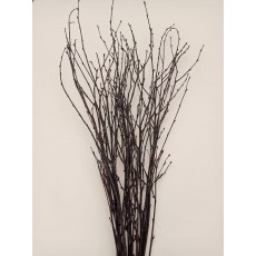 Birch - Black 