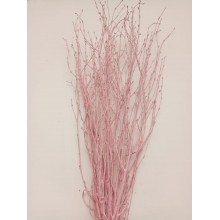 Birch - Light Pink 