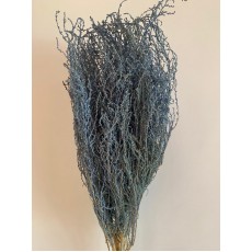 Dried Stoebe- Cloud Blue