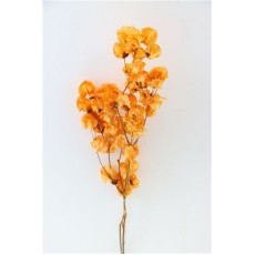 Preserved Bougainvillea 45CM - Orange 