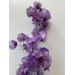 Preserved Bougainvillea 45CM - Purple