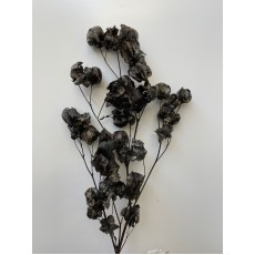 Preserved Bougainvillea 45cm- Black