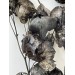 Preserved Bougainvillea 45cm- Black