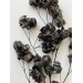 Preserved Bougainvillea 45cm- Black