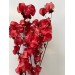 Preserved Bougainvillea 45CM - Red