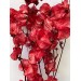 Preserved Bougainvillea 45CM - Red