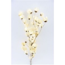 Preserved Bougainvillea 45CM - Bleached 