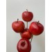 Decorative - Apples Red
