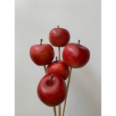 Decorative - Apples Red