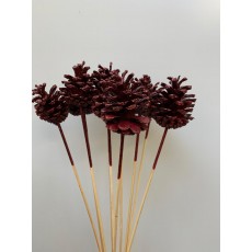 Decorative Conifer Cones- Red Wash