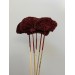 Dried Mushroom Red Glitter