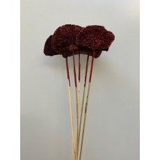 Dried Mushroom Red Glitter