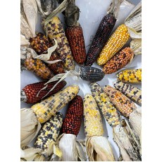 Decor Corn 