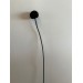 Dried Craspedia - Black