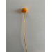 Dried Craspedia - Orange