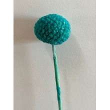 Dried Craspedia - Tiffany 