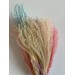 Preserved Eulalia - Mix Colour 