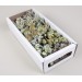 MIXED BOX GREEN 60 STEMS