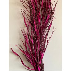 Preserved Grevilla - Fuschia