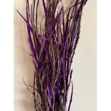 Preserved Grevilla - Purple