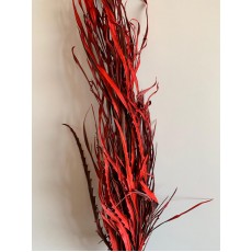 Preserved Grevilla - Red