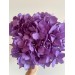 Preserved Hydrangea - Lilac 15cm 