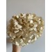 Preserved Hydrangea - Pastel Ivory 20cm