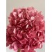 Preserved Hydrangea - Pink 20cm 