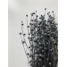 Dried Lino - Dark Grey