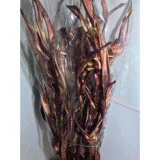 Dried Strelitzia Leaf Brown Metal