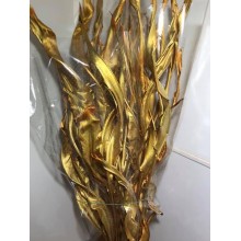 Preserved StrelItzia Leaf Gold Metal 