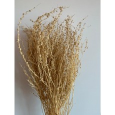 Dried Lipidium - Bleached 