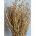 Dried Lipidium - Bleached 