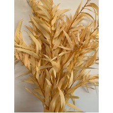 Dried Eucalyptus - Willow Bleached