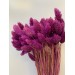 PRESERVED PHALARIS - PURPLE