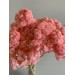 Preserved Helicrysum Italicum - Light Pink