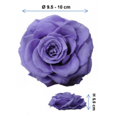 Preserved Standard Rose Head - VTN 