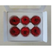 Preserved English Rose Head - JNA 
