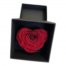 Preserved Rose Heart Shaped in Box