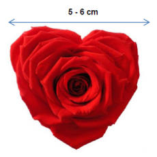 Preserved Rose Heart Shape 
